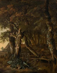 Waldlandschaft mit einer Brücke